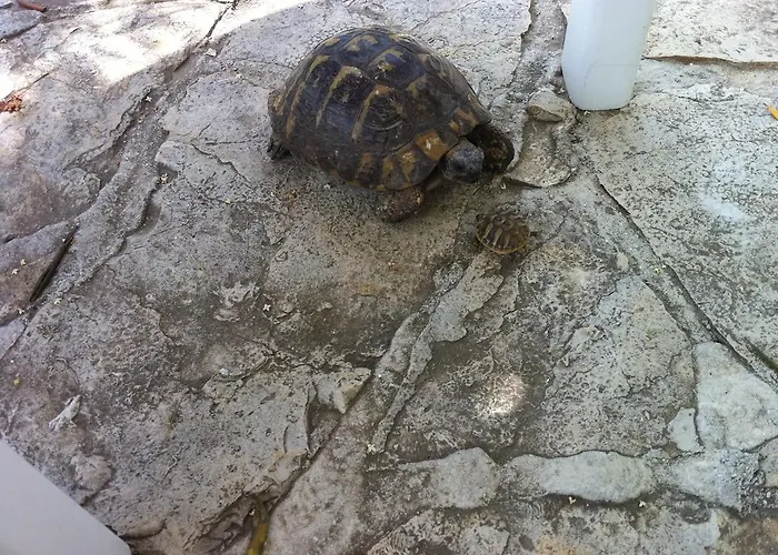 شقة Panorama ماكارسكا