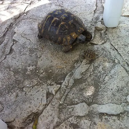 Apartamento Panorama Makarska